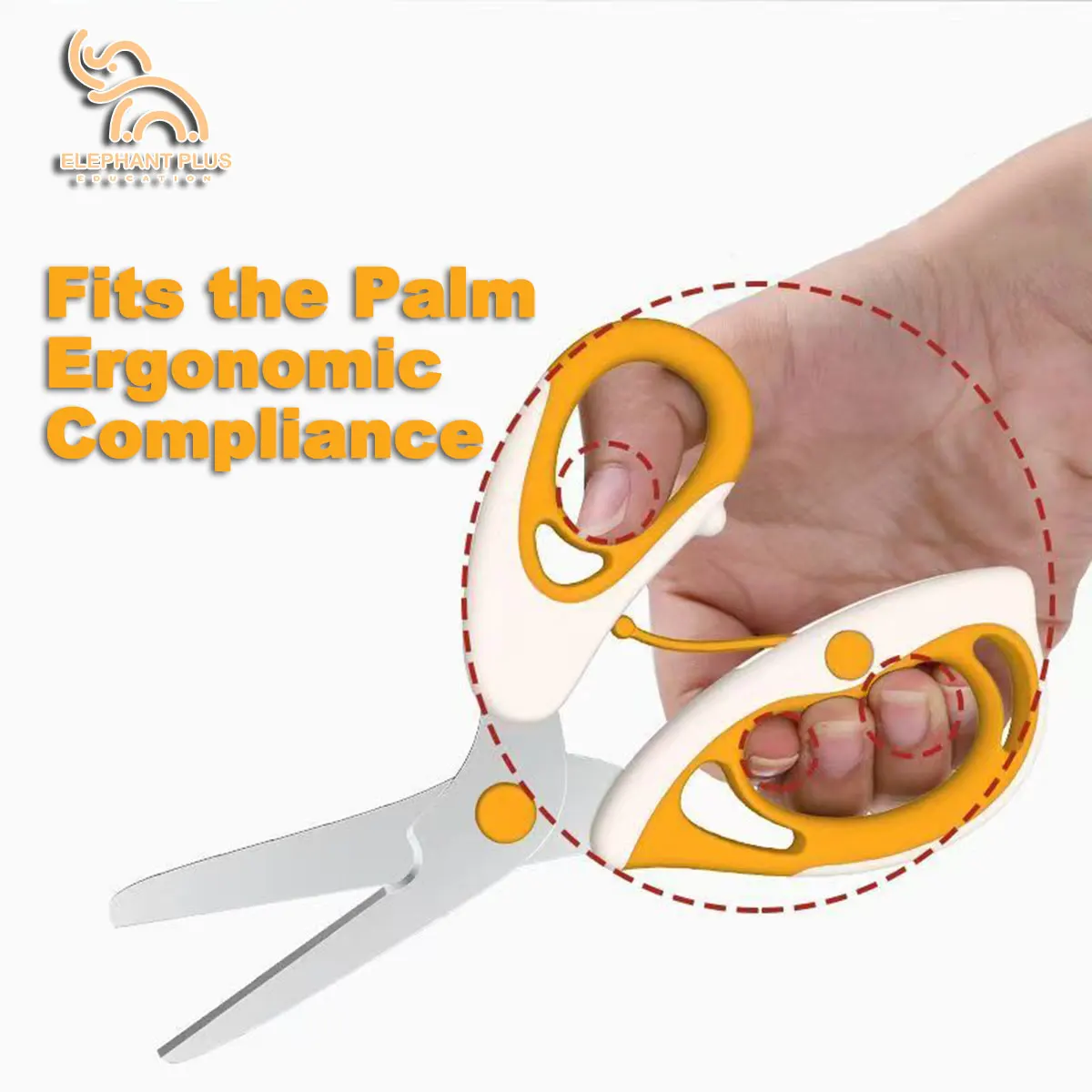 Ciseaux pour aliments pour béb - Baby Food Scissors avis et prix